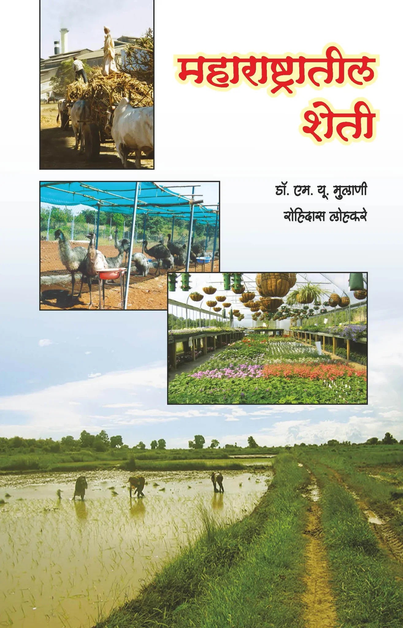 महाराष्ट्रातील शेती by Rohidas Lohkare