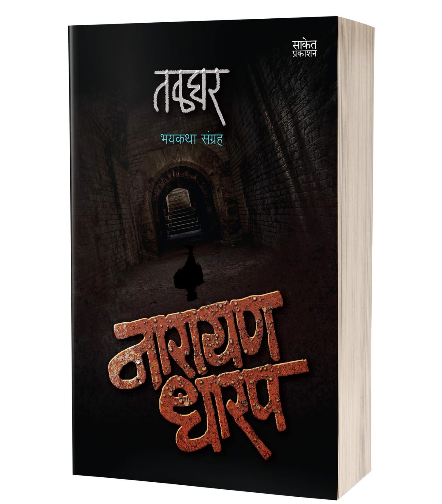 Talghar | तळघर by AUTHOR :- Narayan Dharap