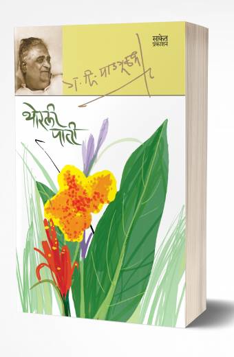 Vedh Rayagadacha by Ravindra Patil