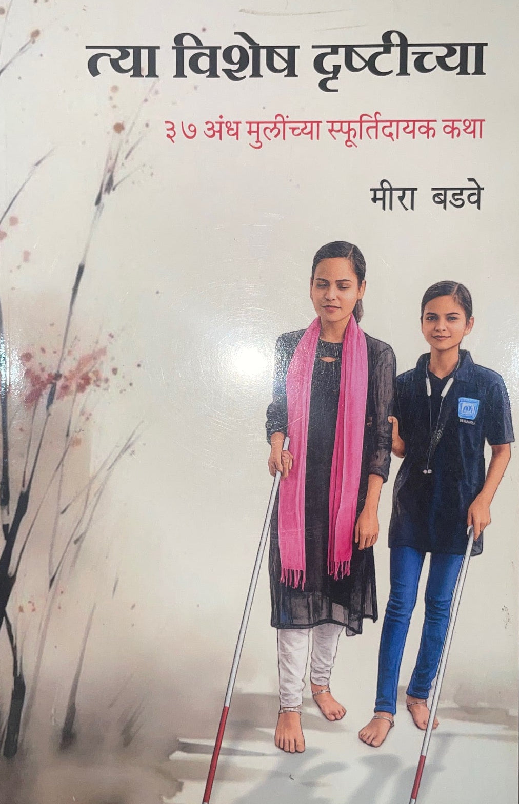 Tya Vishesh Drushitichya By Meera Badave त्या विशेष दृष्टीच्या