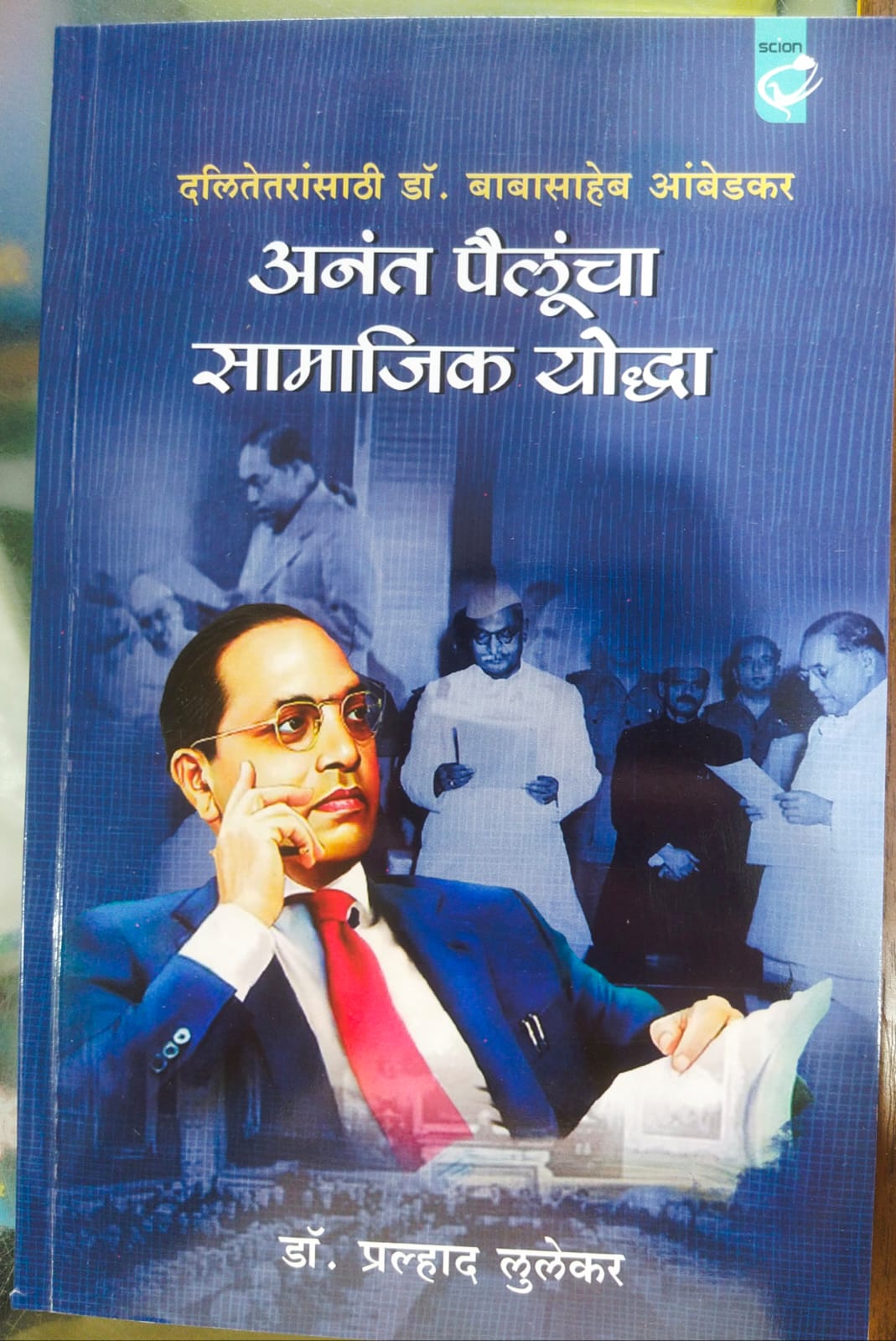 Anant Pailuncha Samajik Yoddha अनंत पैलूंचा सामाजिक योद्धा by Praladh lulekar प्रल्हाद लुलेकर