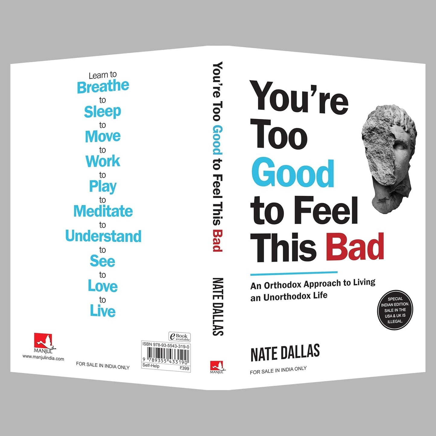 You're Too Good To Feel This Bad (English) : An Orthodox Approach To Living An Unorthodox Life by Nate Dallas