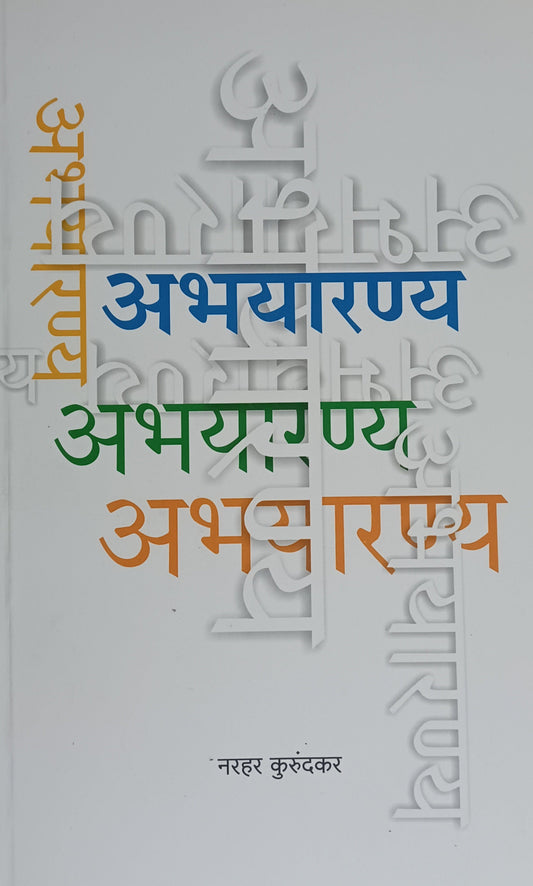 Companion By Baba Kadam