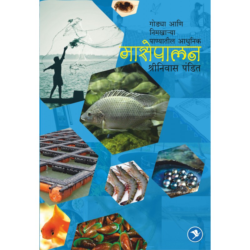 Masepalan by Shrinivas Pandit