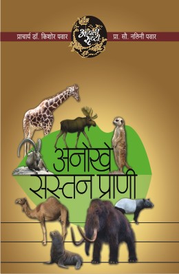 Everything Happens For A Reason By Kavita Daswani Translated By Chitra Walimbe