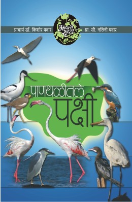 Hasat Khelat Balsangopan By Christopher Green Translated By Manjusha Amdekar