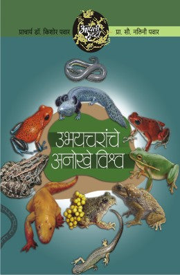Mazya Ladakya Lekinsathi By Chrys Howard Translated By Vidula Deshpande