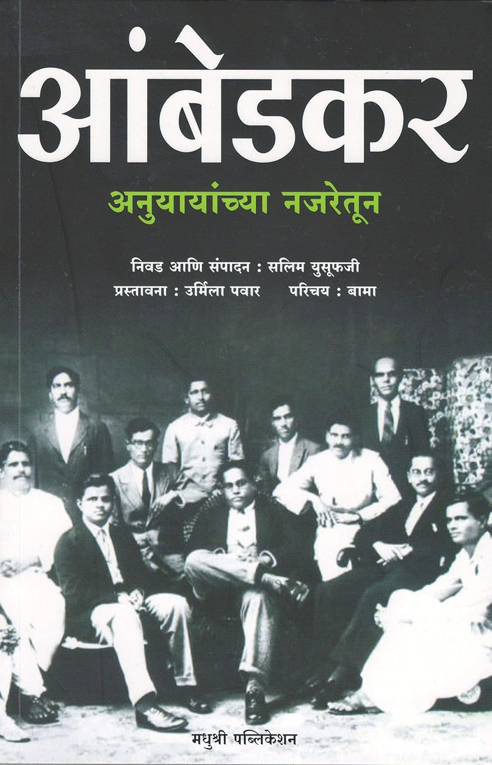 Ambedkar Anuyayanchya Najretun by Salim Yusufji, Nikhil Ghanekar - आंबेडकर अनुयायांच्या नजरेतून