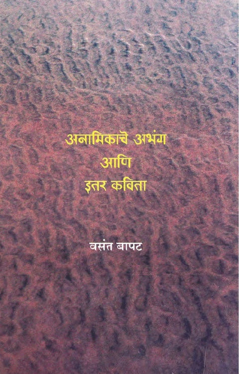 Anamikache Abhang Ani Itar Kavita By Vasant Bapat अनामिकाचे अभंग आणि इतर कविता