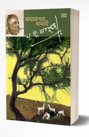 Vietnam artha ani anartha व्हिएतनाम अर्थ आणि अनर्थ V.G. Kanitkar वि.ग. कानिटकर