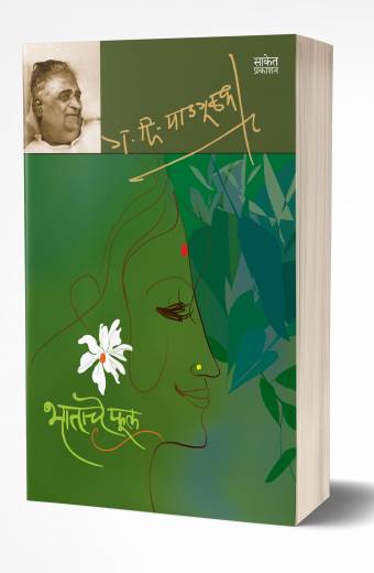 Paripurti By Karve Iravati