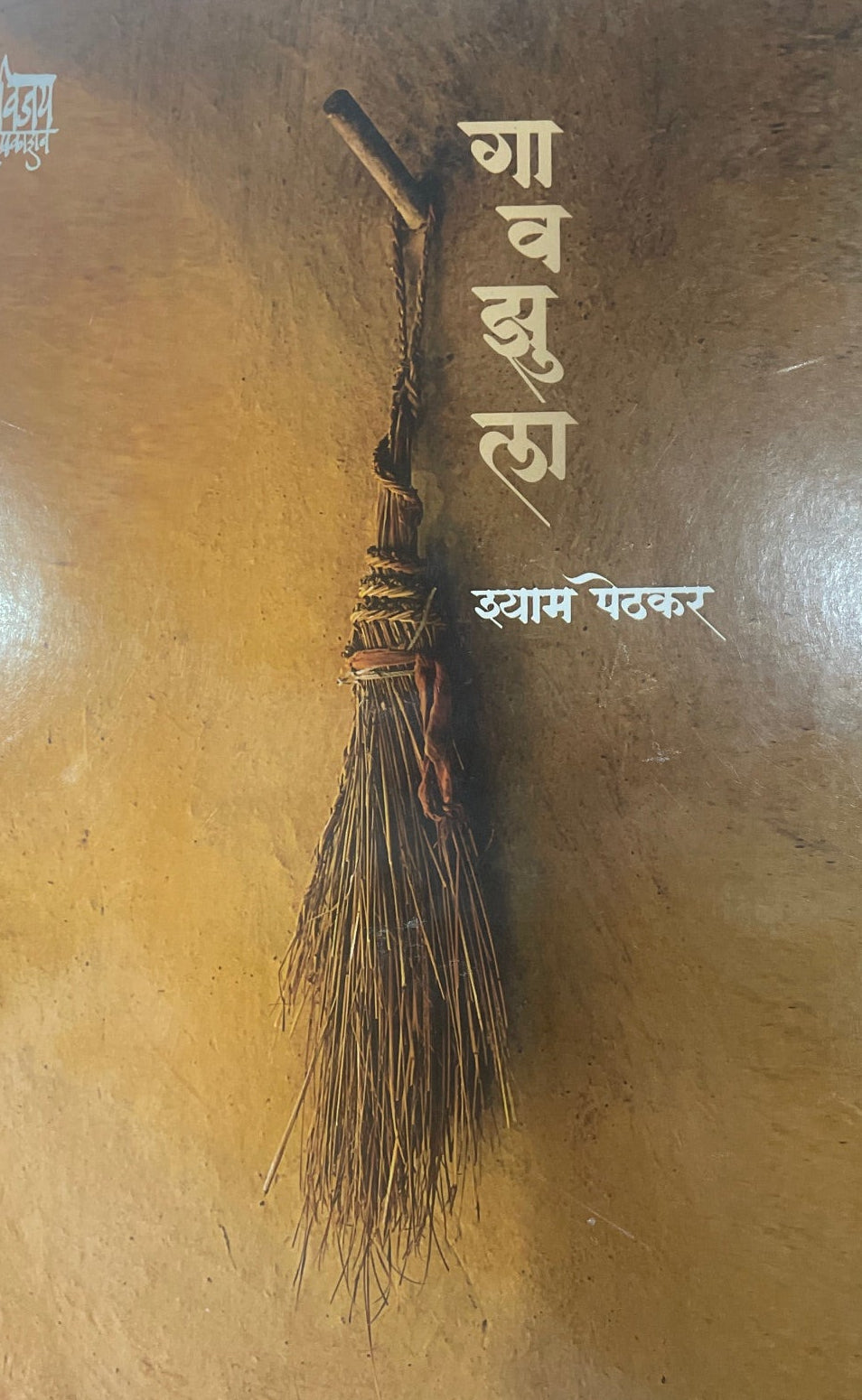 Gaonzula By Shyam Pethakar गावझुला