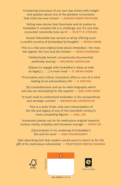 Iconoclast: A Reflective Biography of Dr Babasaheb Ambedkar by Anand Teltumbde (English)