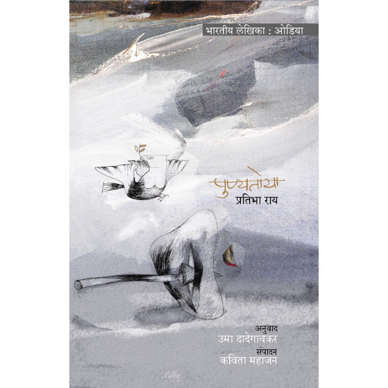 Narsinhavlokan By Vinay Sitapati Translated By Avdhoot Dongare
