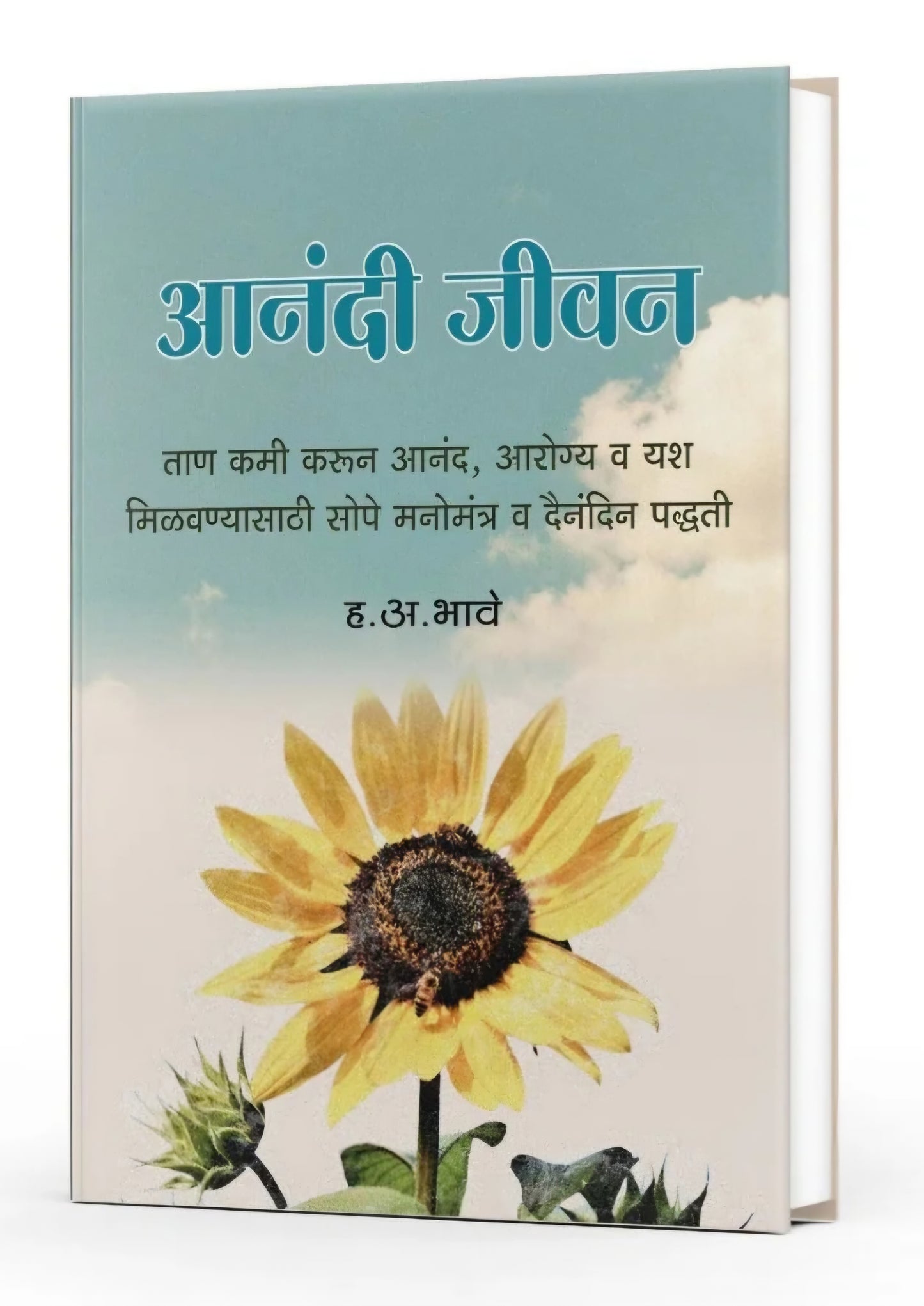 Anandi Jeevan by H. A. Bhave आनंदी जीवन
